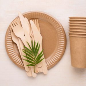 Biodegradable Dinnerware