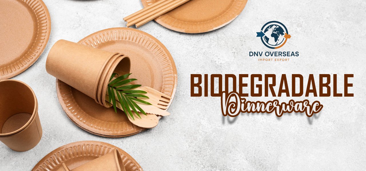 Biodegradable Dinnerware (1)